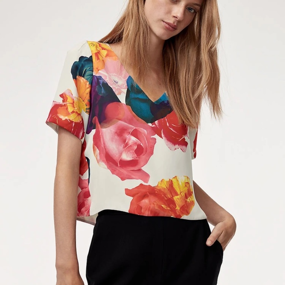 Babaton Randy Blouse